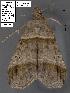  ( - 1702-COI-07)  @13 [ ] Unspecified (default): All Rights Reserved  Unspecified Unspecified