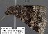  ( - 1710-COI-07)  @14 [ ] Unspecified (default): All Rights Reserved  Unspecified Unspecified