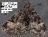  ( - 1711-COI-07)  @13 [ ] Unspecified (default): All Rights Reserved  Unspecified Unspecified