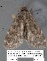  ( - 1714-COI-07)  @13 [ ] Unspecified (default): All Rights Reserved  Unspecified Unspecified