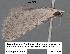  ( - 1717-COI-07)  @13 [ ] Unspecified (default): All Rights Reserved  Unspecified Unspecified