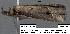  ( - 1727-COI-07)  @12 [ ] Unspecified (default): All Rights Reserved  Unspecified Unspecified