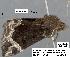  ( - 1754-COI-07)  @12 [ ] Unspecified (default): All Rights Reserved  Unspecified Unspecified