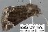  ( - 1755-COI-07)  @12 [ ] Unspecified (default): All Rights Reserved  Unspecified Unspecified