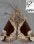  ( - 1758-COI-07)  @12 [ ] Unspecified (default): All Rights Reserved  Unspecified Unspecified