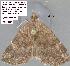  ( - 1769-COI-07)  @11 [ ] Unspecified (default): All Rights Reserved  Unspecified Unspecified