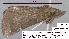  ( - 1770-COI-07)  @11 [ ] Unspecified (default): All Rights Reserved  Unspecified Unspecified