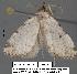  ( - 1793-COI-07)  @12 [ ] Unspecified (default): All Rights Reserved  Unspecified Unspecified