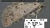  ( - 1795-COI-07)  @13 [ ] Unspecified (default): All Rights Reserved  Unspecified Unspecified