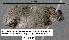  ( - 1799-COI-07)  @12 [ ] Unspecified (default): All Rights Reserved  Unspecified Unspecified