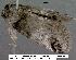  ( - 1800-COI-07)  @12 [ ] Unspecified (default): All Rights Reserved  Unspecified Unspecified