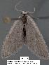  ( - 1801-COI-07)  @13 [ ] Unspecified (default): All Rights Reserved  Unspecified Unspecified
