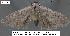  ( - 1802-COI-07)  @13 [ ] Unspecified (default): All Rights Reserved  Unspecified Unspecified