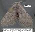  ( - 1803-COI-07)  @13 [ ] Unspecified (default): All Rights Reserved  Unspecified Unspecified