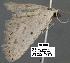  ( - 1807-COI-07)  @12 [ ] Unspecified (default): All Rights Reserved  Unspecified Unspecified