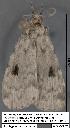  ( - 1809-COI-07)  @12 [ ] Unspecified (default): All Rights Reserved  Unspecified Unspecified