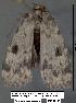  ( - 1810-COI-07)  @12 [ ] Unspecified (default): All Rights Reserved  Unspecified Unspecified
