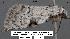 ( - 1823-COI-07)  @12 [ ] Unspecified (default): All Rights Reserved  Unspecified Unspecified