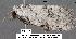  ( - 1844-COI-07)  @12 [ ] Unspecified (default): All Rights Reserved  Unspecified Unspecified