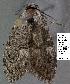  ( - 1845-COI-07)  @11 [ ] Unspecified (default): All Rights Reserved  Unspecified Unspecified