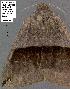  ( - 1866-COI-07)  @12 [ ] Unspecified (default): All Rights Reserved  Unspecified Unspecified