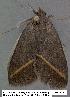  ( - 1889-COI-07)  @12 [ ] Unspecified (default): All Rights Reserved  Unspecified Unspecified