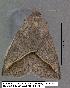  ( - 1890-COI-07)  @12 [ ] Unspecified (default): All Rights Reserved  Unspecified Unspecified