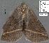  ( - 1891-COI-07)  @12 [ ] Unspecified (default): All Rights Reserved  Unspecified Unspecified