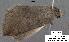  ( - 1892-COI-07)  @12 [ ] Unspecified (default): All Rights Reserved  Unspecified Unspecified