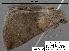 ( - 1893-COI-07)  @12 [ ] Unspecified (default): All Rights Reserved  Unspecified Unspecified
