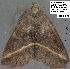  ( - 1895-COI-07)  @12 [ ] Unspecified (default): All Rights Reserved  Unspecified Unspecified