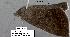  ( - 1896-COI-07)  @13 [ ] Unspecified (default): All Rights Reserved  Unspecified Unspecified