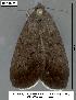  ( - 1897-COI-07)  @12 [ ] Unspecified (default): All Rights Reserved  Unspecified Unspecified