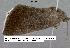  ( - 1899-COI-07)  @12 [ ] Unspecified (default): All Rights Reserved  Unspecified Unspecified