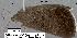 ( - 1900-COI-07)  @13 [ ] Unspecified (default): All Rights Reserved  Unspecified Unspecified