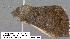  ( - 1901-COI-07)  @13 [ ] Unspecified (default): All Rights Reserved  Unspecified Unspecified