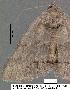  ( - 1907-COI-07)  @12 [ ] Unspecified (default): All Rights Reserved  Unspecified Unspecified