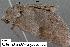  ( - 1908-COI-07)  @12 [ ] Unspecified (default): All Rights Reserved  Unspecified Unspecified