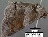  ( - 1909-COI-07)  @12 [ ] Unspecified (default): All Rights Reserved  Unspecified Unspecified
