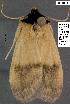  ( - 3020-COI-08)  @12 [ ] Unspecified (default): All Rights Reserved  Unspecified Unspecified