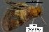 ( - 3021-COI-08)  @12 [ ] Unspecified (default): All Rights Reserved  Unspecified Unspecified