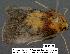  ( - 3022-COI-08)  @12 [ ] Unspecified (default): All Rights Reserved  Unspecified Unspecified