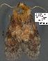  ( - 3023-COI-08)  @13 [ ] Unspecified (default): All Rights Reserved  Unspecified Unspecified