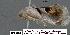  ( - 3024-COI-08)  @13 [ ] Unspecified (default): All Rights Reserved  Unspecified Unspecified