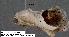  ( - 3025-COI-08)  @13 [ ] Unspecified (default): All Rights Reserved  Unspecified Unspecified