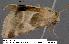 ( - 3027-COI-08)  @12 [ ] Unspecified (default): All Rights Reserved  Unspecified Unspecified