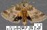  ( - 3028-COI-08)  @12 [ ] Unspecified (default): All Rights Reserved  Unspecified Unspecified