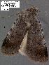  ( - 3032-COI-08)  @12 [ ] Unspecified (default): All Rights Reserved  Unspecified Unspecified