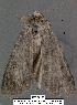  ( - 3033-COI-08)  @13 [ ] Unspecified (default): All Rights Reserved  Unspecified Unspecified