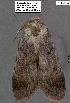  ( - 3034-COI-08)  @12 [ ] Unspecified (default): All Rights Reserved  Unspecified Unspecified